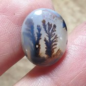 تصویر عقیق شجر قائن زیبا خاص تک درخت خاص 