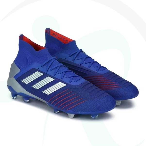 adidas predator 19.1 shoes