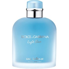 Dolce Gabbana Pour Homme Light Blue Eau Intense Edp