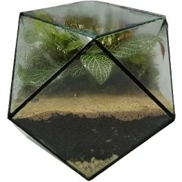 تصویر تراریوم مدل چندضلعی 