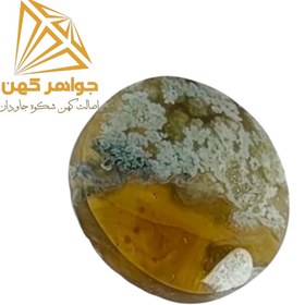 تصویر نگین شجر پاییزی کد(۶۹) 