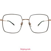 تصویر عینک طبی مشکی رزگلد آی پی تیتانیوم 7624 