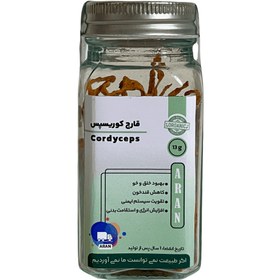 تصویر قارچ کوردیسپس 