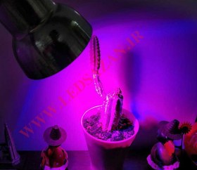 تصویر لامپ ۷ وات ~ ۲۱wl مخصوص رشد گیاه کاکتوس 