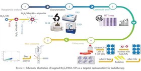 تصویر نانو ذرات سولفید بیسموت کونژوگه با تریپتورلین |Bi2S3@BSA- Triptorelin Bi2S3@BSA- Triptorelin nanoparticle