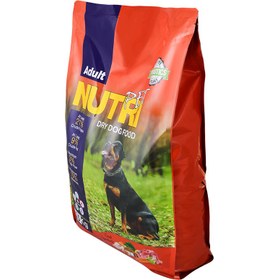 تصویر غذای خشک سگ بالغ 21% پروتئین نوتری پت با طعم مرغ Nutripet 21% Protein Adult Dry Dog Food With Chicken Flavor