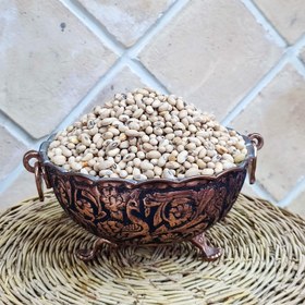 تصویر سویا آجیلی 