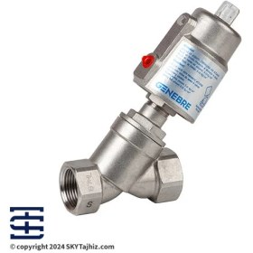 تصویر انگل ولو پنوماتیک 