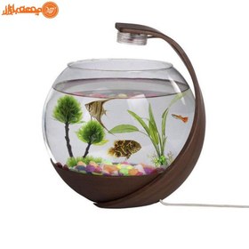 تصویر آکواریوم رومیزی چراغ دار ا fish tank fish tank
