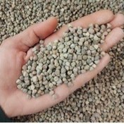 تصویر دانه خلار 