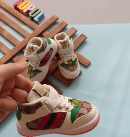 تصویر کفش بچگانه گوچی 