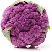 تصویر بذر گل کلم بنفش هیبرید 