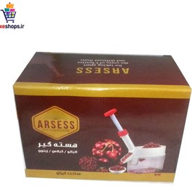 تصویر هسته گیر آلبالو و گیلاس آرسس 