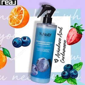 تصویر اسپری مو دوفاز حاوی عصاره بلوبری و هل یانسی Yunsey Blueberry Hair 2Phase Spray 500 ml