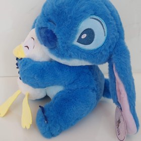 تصویر استیج اردک بغل 