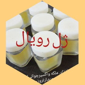 تصویر ژل رویال ایرانی شفا 