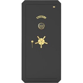 تصویر گاو صندوق T1250 