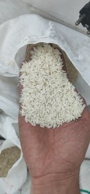 تصویر برنج شیرودی 