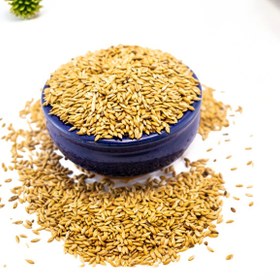 تصویر تخم کتان پرنده 