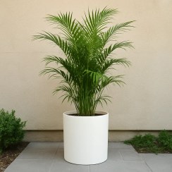 تصویر گلدان پلاستیکی استوانه ای گل آذین مدل لیندا، سایز 4 - کد 195 (دهانه 28 سانتی متر) 