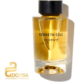 Intensity Kenneth Cole