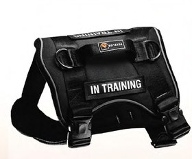 تصویر هارنس بایسون 