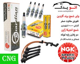 تصویر پک ویژه افزایش شتاب و قدرت CNG, ون دلیکا - با شمع CNG/LPG دالف / و وایر شمع تقویتی 