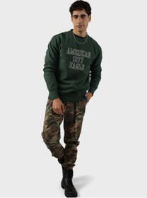 تصویر سویشرت یقه گرد برند american eagle Crew Neck Sweatshirt