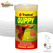 تصویر غذای 100 میلی لیتر پولکی گوپی تروپیکال Guppy 100ml