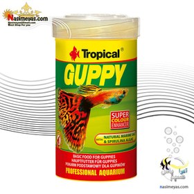 تصویر غذای 100 میلی لیتر پولکی گوپی تروپیکال Guppy 100ml