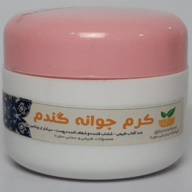 تصویر کرم سنتی جوانه گندم Wheat germ cream