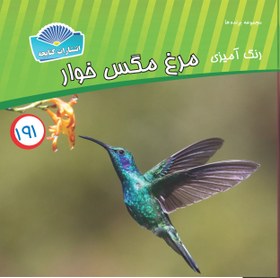 تصویر مرغ مگس خوار _ رنگ آمیزی 