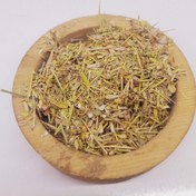 تصویر خارشتر 