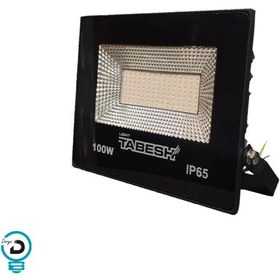 تصویر پرژکتور 100 وات SMD تابش کد F05 