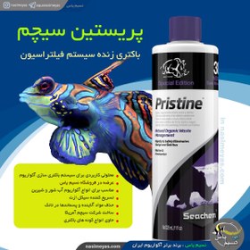 تصویر محلول باکتری پریستین سیچم seachem Pristine