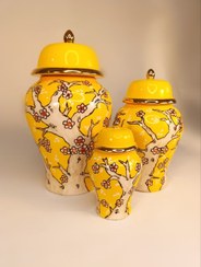 تصویر جینجر جار زرد آیتوس 