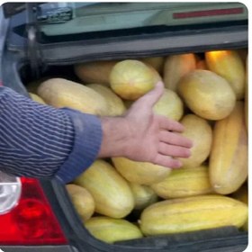 تصویر تخمه خربزه خام (مشهدی) 