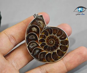 تصویر فسیل امونیت اصل 30 گرم 
