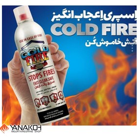 تصویر اسپری مهار آتش مدل cold fire 1000ml 