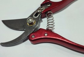 تصویر قیچی باغبانی مستر ام MR.M PRUNING SHEARS MR.M