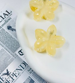 تصویر کلیپس پلومریای شیشه ای - صورتی 