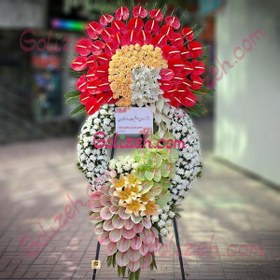 تصویر گل افتتاحیه اطلس 