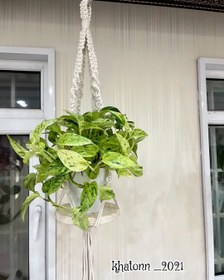 تصویر اویز گلدان مکرومه macrame