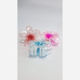 تصویر کلیبس پلومریا 