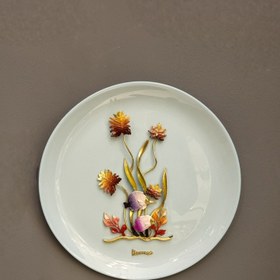 تصویر دیوارکوب بشقابی 