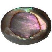 تصویر نگین پوسته صدف آبالون 