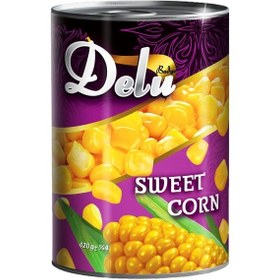 تصویر کنسرو ذرت دلو - 420 گرم 