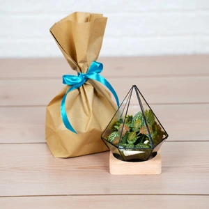 تصویر فروشگاه خانه گل گلوريا