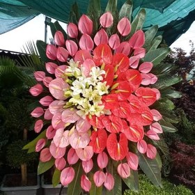 تصویر تاج گل بزرگ تبریک1005 