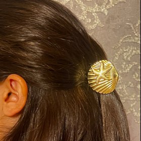 تصویر کلیپس فلزی صدفی 